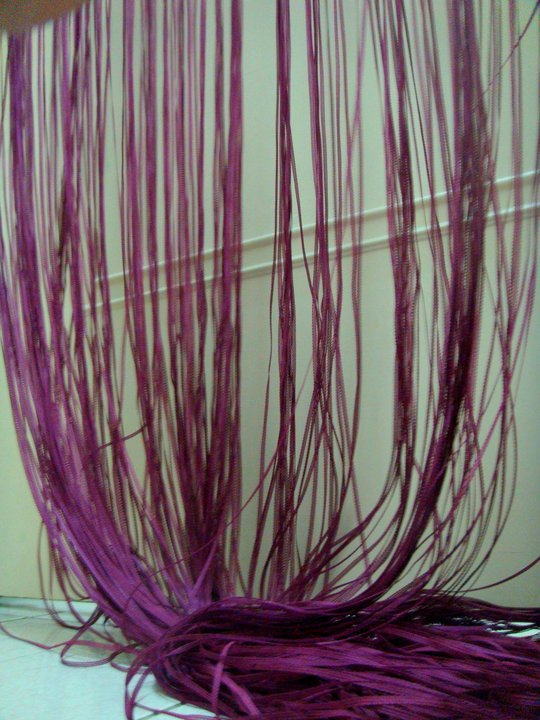 momo SCf6