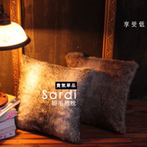 20131101 sardi cushion