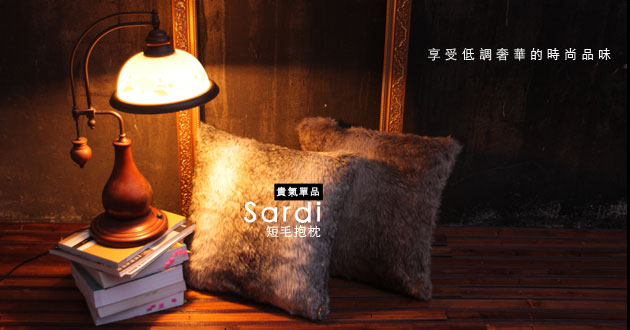 20131101 sardi cushion
