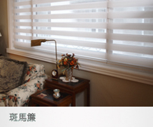 index_double roller blind