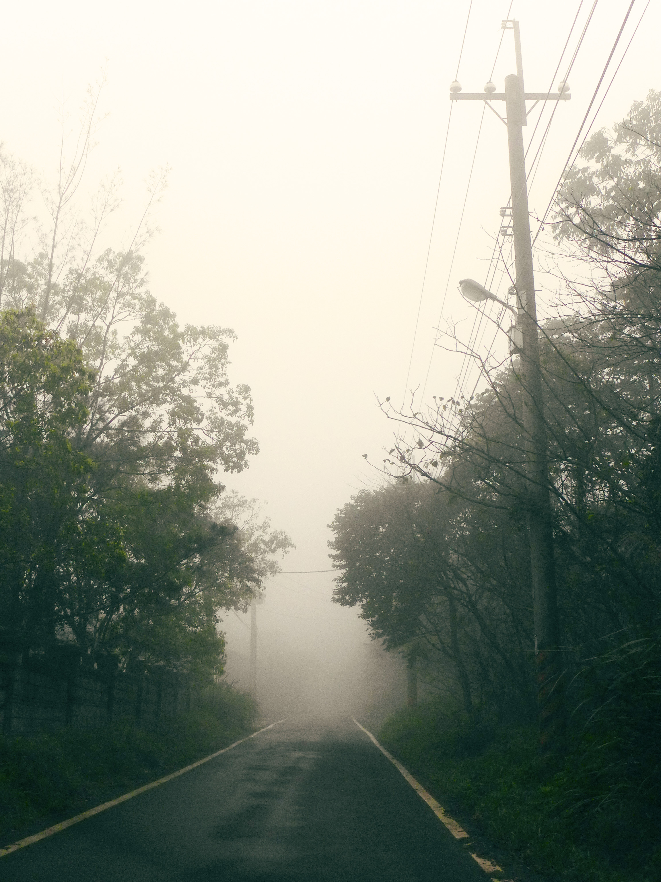 20160219 MSBT foggy day