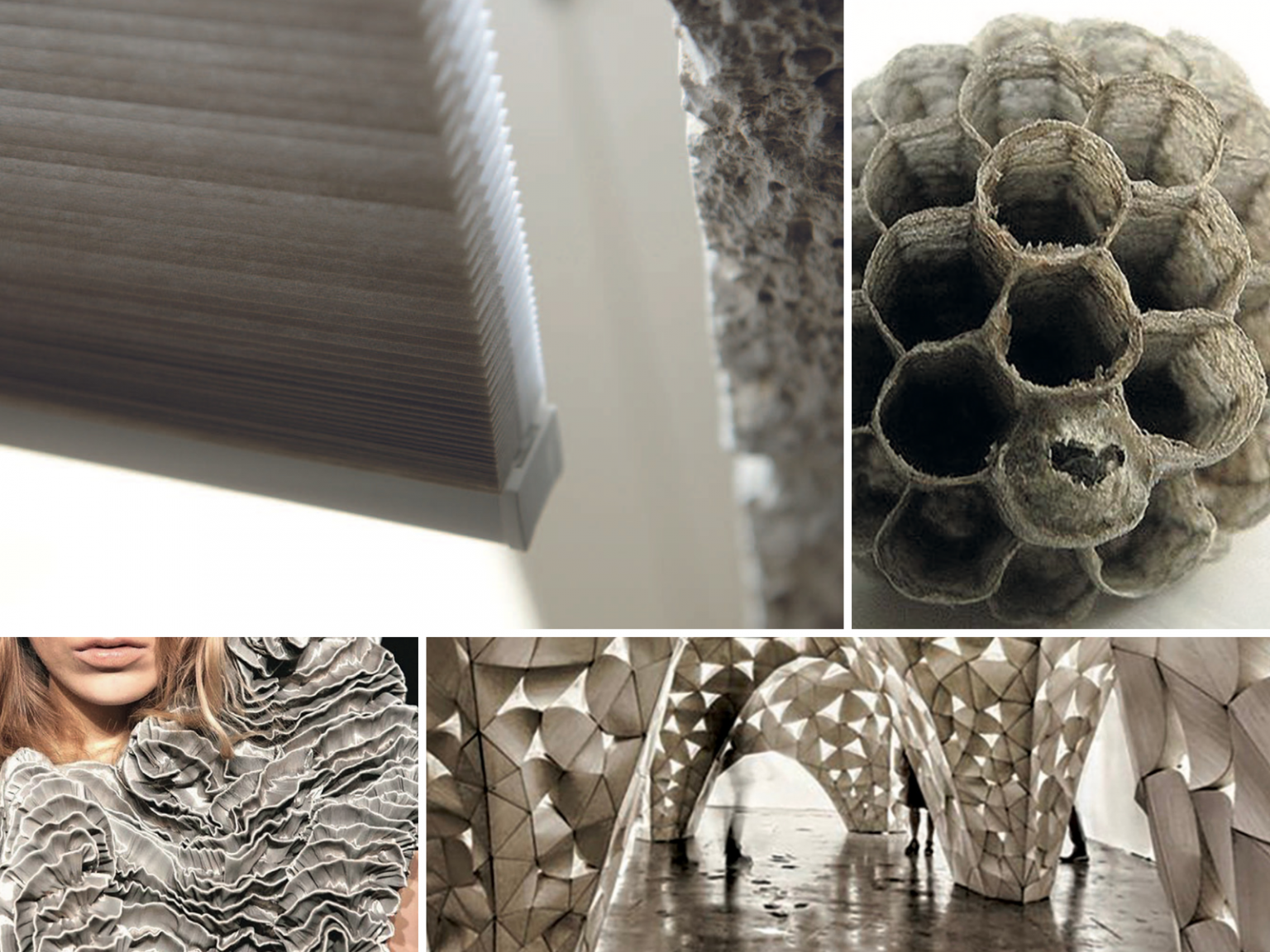 coulisse-honeycomb-7-1536x1152